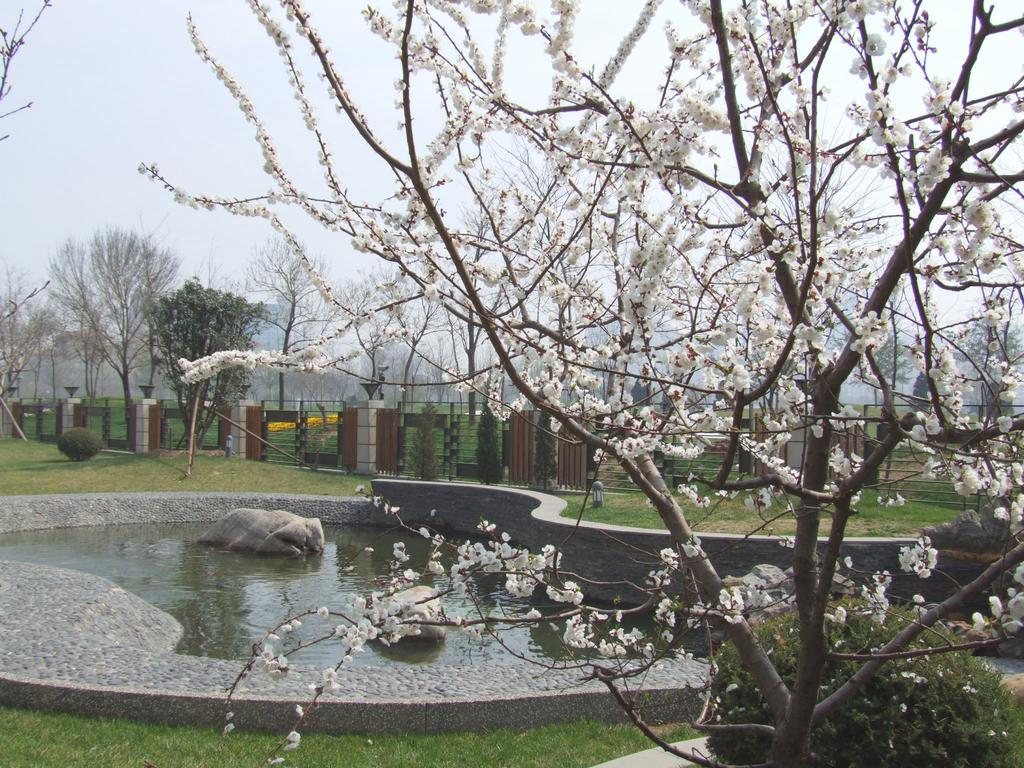 Green Park Hotel Tianjin Binhai  Екстериор снимка